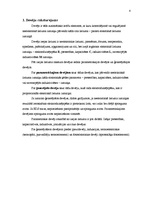 Referāts 'Devēji', 4.