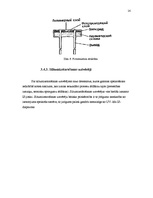 Referāts 'Devēji', 14.