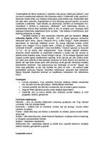 Referāts '18.gs. māksla Latvijā', 3.