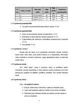 Biznesa plāns 'Biznesa plāns SIA "Mans dators"', 5.