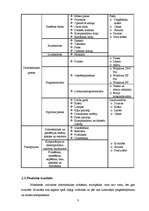 Biznesa plāns 'Biznesa plāns SIA "Mans dators"', 8.