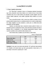 Biznesa plāns 'Biznesa plāns SIA "Mans dators"', 11.