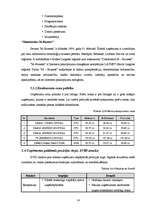 Biznesa plāns 'Biznesa plāns SIA "Mans dators"', 14.