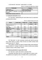 Biznesa plāns 'Biznesa plāns SIA "Mans dators"', 19.