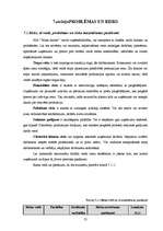 Biznesa plāns 'Biznesa plāns SIA "Mans dators"', 25.