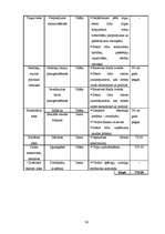 Biznesa plāns 'Biznesa plāns SIA "Mans dators"', 26.