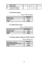 Biznesa plāns 'Biznesa plāns SIA "Mans dators"', 28.