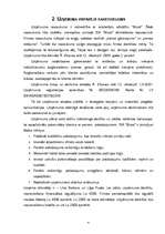 Biznesa plāns 'SIA "Mural" sienu apgleznošana', 6.