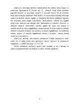 Biznesa plāns 'SIA "Mural" sienu apgleznošana', 7.