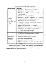 Biznesa plāns 'SIA "Mural" sienu apgleznošana', 9.