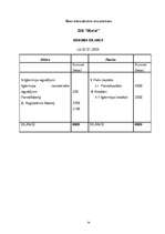 Biznesa plāns 'SIA "Mural" sienu apgleznošana', 16.