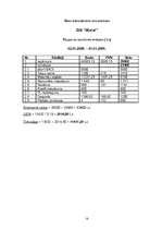 Biznesa plāns 'SIA "Mural" sienu apgleznošana', 17.