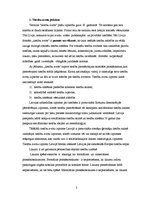 Konspekts 'Tiesību avoti', 2.