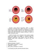 Konspekts 'Ēdienkarte nedēļai ar samazinātu holesterīna saturu', 3.
