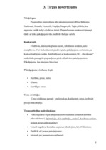 Biznesa plāns 'Biznesa plāns. SIA "Daydreams"', 9.