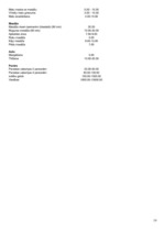 Biznesa plāns 'Biznesa plāns. SIA "Daydreams"', 19.