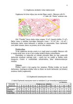 Referāts 'SIA "Temīda" pamatprincipi darba vadīšanas jomā', 6.