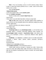 Referāts 'Statistikas grafiskās metodes ārējās tirdzniecības analīzē', 5.