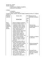 Konspekts 'Astoņu sporta stundu konspekti basketbolā', 3.