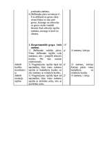 Konspekts 'Astoņu sporta stundu konspekti basketbolā', 4.