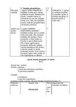 Konspekts 'Astoņu sporta stundu konspekti basketbolā', 6.