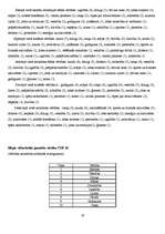 Referāts 'Elejas vidusskolas jauniešu vērtības un to ietekmējošie faktori', 19.