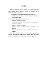 Konspekts 'Uzņēmuma dibināšanas process', 5.