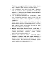 Konspekts 'Uzņēmuma dibināšanas process', 10.