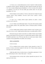 Referāts 'Uzņēmējdarbības vides pētīšanas metodes', 8.