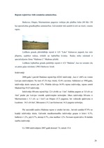 Referāts 'Uzņēmējdarbības vides pētīšanas metodes', 26.