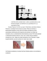 Referāts 'Magnetrona izputināšanas tehnoloģija un vara īpašības', 5.