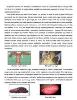 Referāts 'Vides piesārņojuma ietekmes uz Baltijas jūras zīdītāju populācijām', 5.