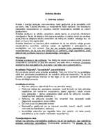 Konspekts 'Anketas dizains', 1.