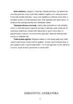 Referāts 'Japāna', 15.