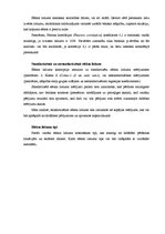 Referāts 'Meta analīze un tās izmantošana ekonomikas, tirgzinību un reklāmas pētīšanā un i', 16.