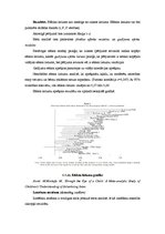 Referāts 'Meta analīze un tās izmantošana ekonomikas, tirgzinību un reklāmas pētīšanā un i', 33.