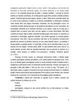 Referāts 'Agresija ģimenē pret sievieti', 4.