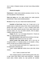 Referāts 'Aizputes novada tūrisma sistēma', 5.