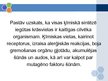 Prezentācija 'Pārtikas krāsvielu ietekme uz piaugušo veselību', 12.