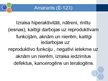 Prezentācija 'Pārtikas krāsvielu ietekme uz piaugušo veselību', 17.