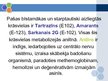 Prezentācija 'Pārtikas krāsvielu ietekme uz piaugušo veselību', 21.