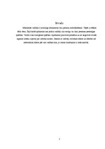 Referāts 'Vadītājs, līderis un līderība izglītībā', 3.