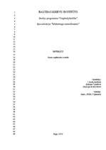 Referāts 'Jauna uzņēmuma izveide', 1.