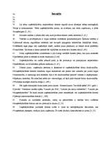 Referāts 'Jauna uzņēmuma izveide', 3.