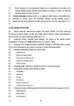 Referāts 'Jauna uzņēmuma izveide', 19.