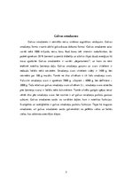 Referāts 'Cilvēka galvas smadzenes, to struktūras un funkcijas', 3.