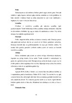 Referāts 'Cilvēka galvas smadzenes, to struktūras un funkcijas', 10.