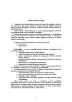 Referāts 'Finanšu analīzes veidi, principi, metodes', 4.