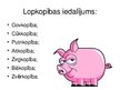 Prezentācija 'Lopkopība', 3.