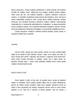 Referāts 'Nauda un Latvijas Banka,naudas attīstība ', 11.